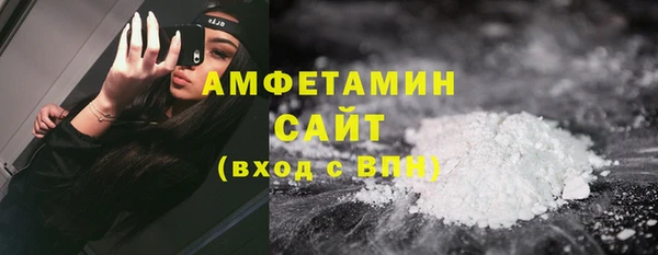 прущие грибы Алзамай