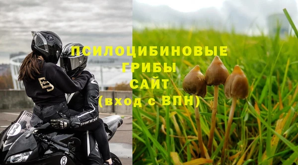 прущие грибы Алзамай