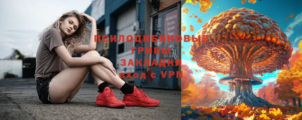 прущие грибы Алзамай