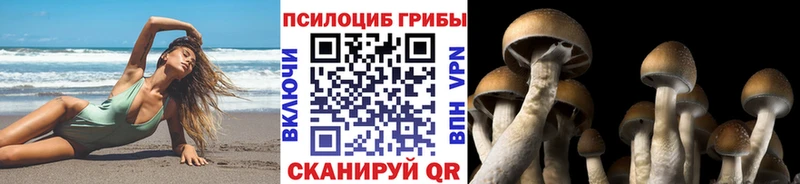 Псилоцибиновые грибы мухоморы  как найти   Липки 